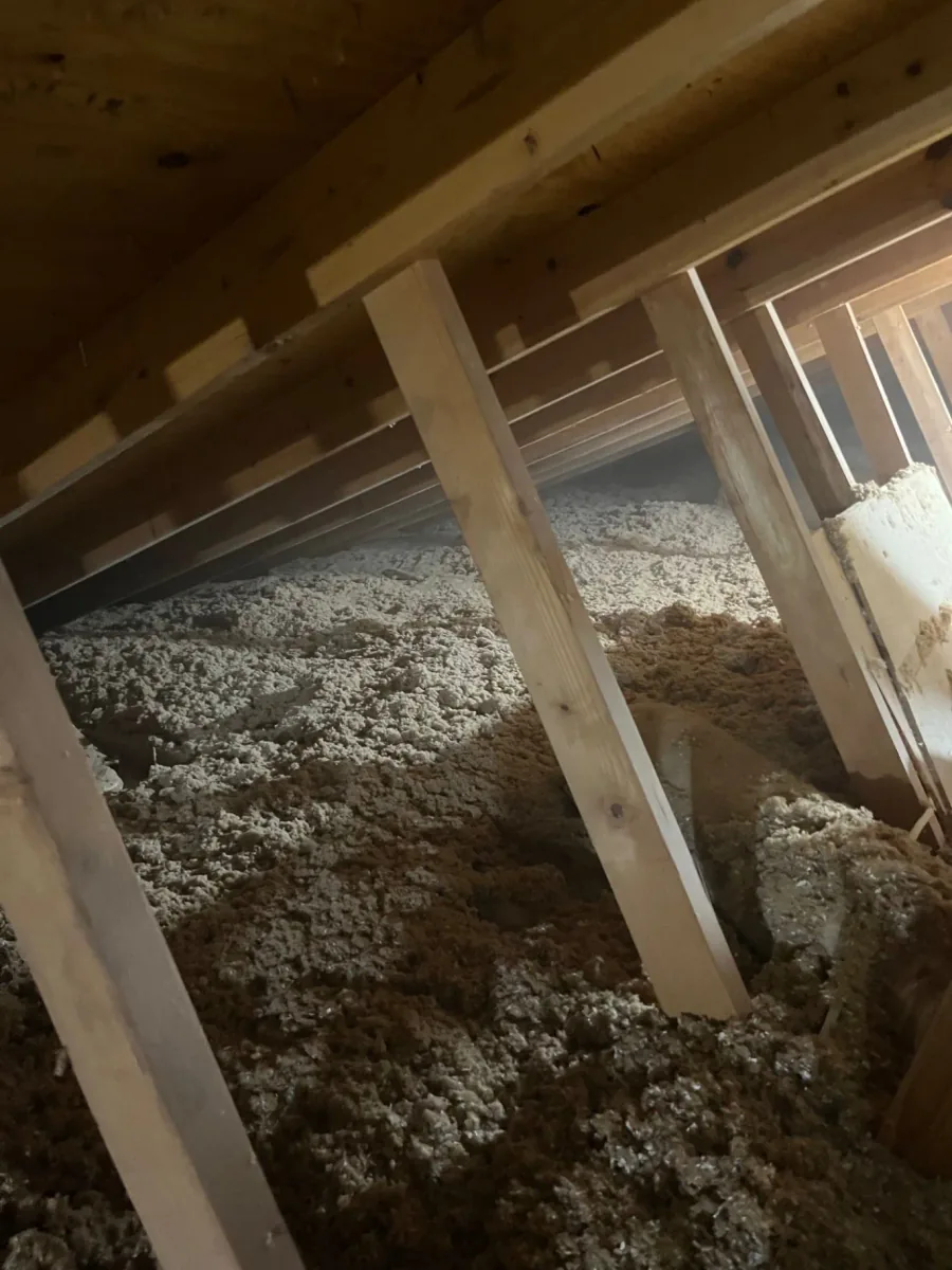 Broad view of loose-fill cellulose insulation across an attic floor beneath wood roof trusses