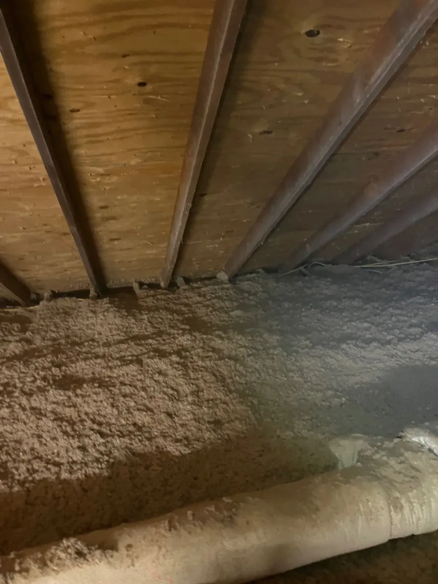 Cellulose insulation covering an attic floor beneath exposed roof sheathing and a flexible duct