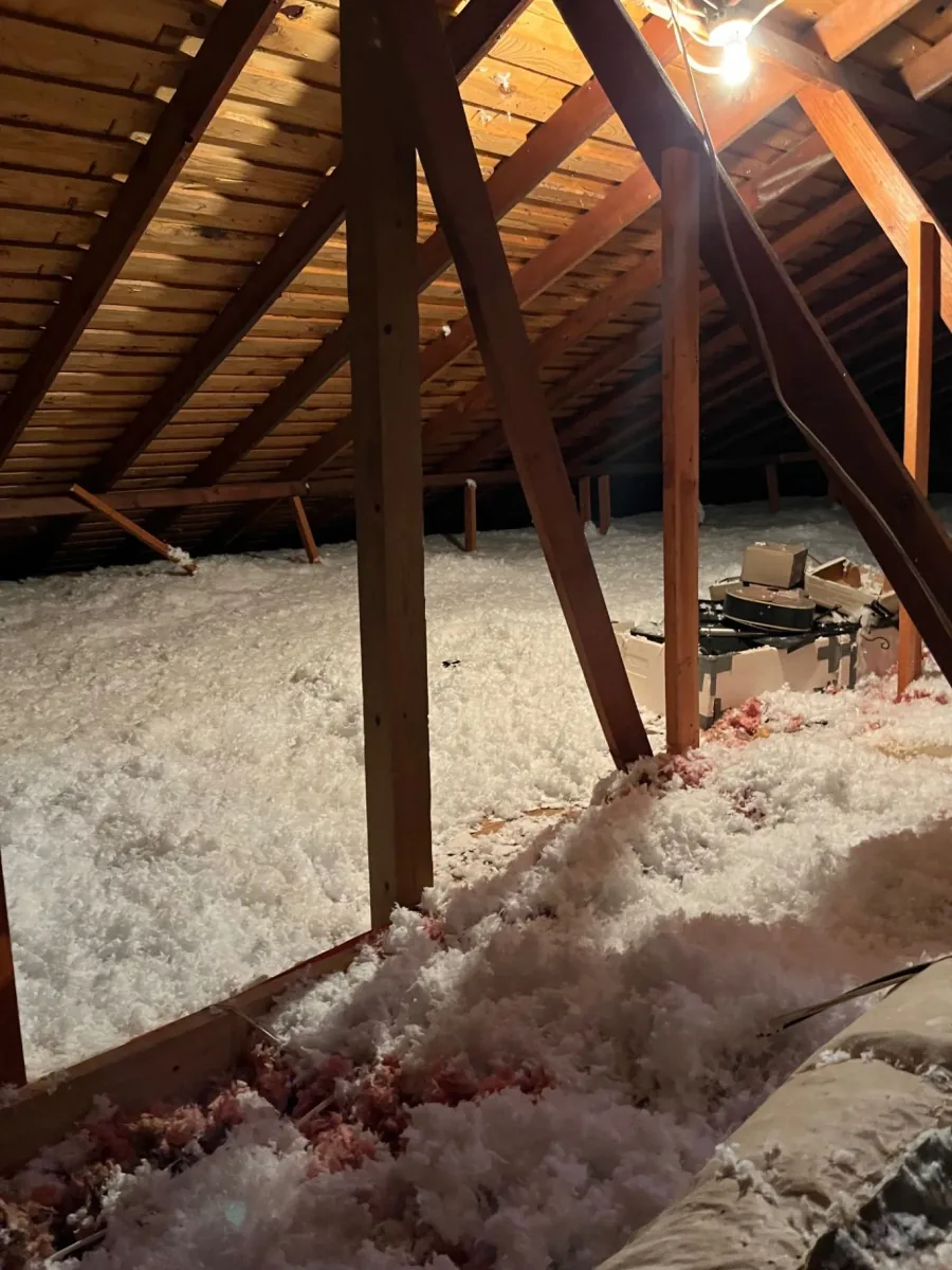 Attic framing and fiberglass insulation viewed from below the roofline